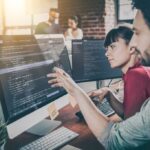 IT Professionals (All Domains)